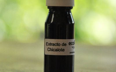 productos04